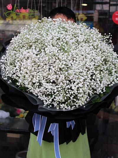 Bó hoa baby trắng - Hạnh phúc vỡ òa