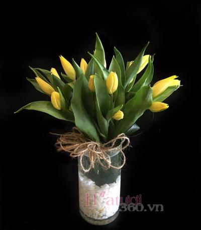 Hoatuoi360-hoa tulip 02
