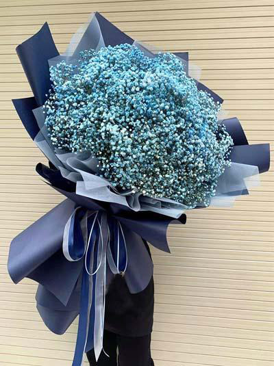Hoa baby xanh - mãi mãi một tình yêu