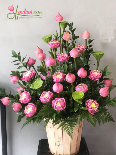 1 Shop hoa sinh nhật đẹp giao hoa miễn phí tận nhà  Alo hoa tươi