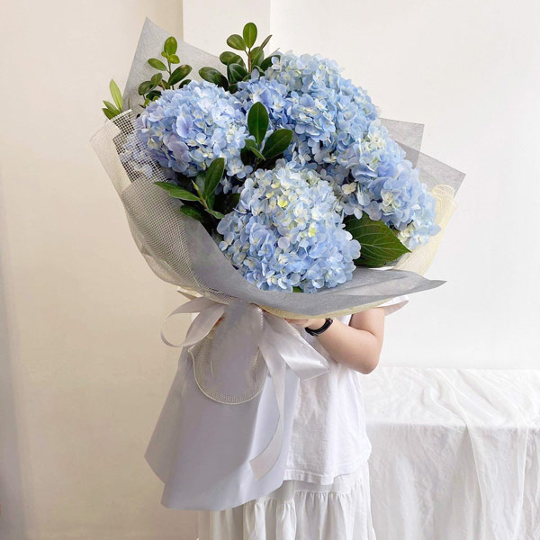 Hoa xin lỗi đỗ ngọt người yêu Hoa xin lỗi đỗ ngọt người yêu